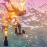 La Romana: Catalina Island Full-Day Snorkeling Tour